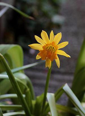 臨床觀察中醫(yī)康復(fù)對(duì)中風(fēng)患者功能恢復(fù)的影響