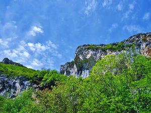 五個新手創(chuàng)業(yè)的項目，學(xué)習(xí)自用，舉一反三才是創(chuàng)業(yè)的開始