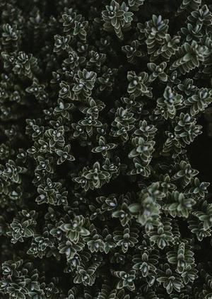 來不及多說了！成為人生贏家原來只需這兩招