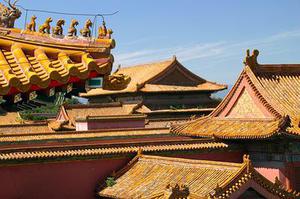 鳳岡縣茶葉出口達(dá)萬(wàn)元