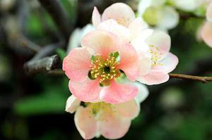 2017年4月12日《自律到底有多難，還是，人到底有多懶》