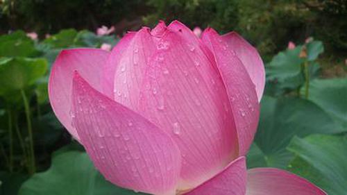 千禧彩票網(wǎng)登錄引導(dǎo)大廳