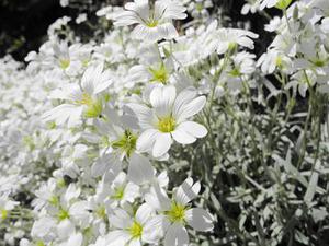 電影之《華爾街》觀后感（一）