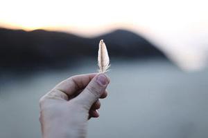 單相光伏并網(wǎng)逆變器的控制策略研究及實(shí)現(xiàn)