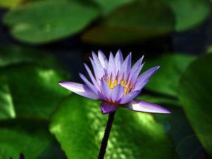 將于年春節(jié)前分批次遷入兩處安置區(qū)