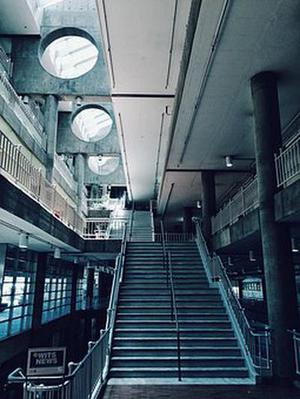 夜深花已眠