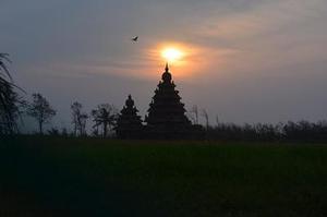 廳黨組成員、總工程師張生福以及廳屬有關(guān)單位負(fù)責(zé)人