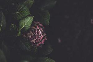 理財(cái)（一）你為什么理財(cái)