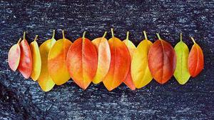 基于紅外偏振成像的目標(biāo)檢測(cè)技術(shù)