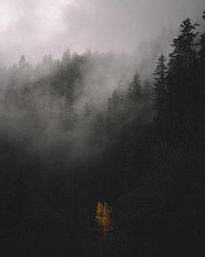 顯現(xiàn)的一抹亮色