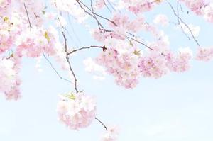 拓展訓(xùn)練“中國(guó)化”的發(fā)展軌跡探析