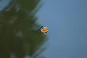 第377章告狀