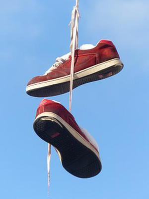 廳黨組成員、總工程師張生福以及廳屬有關(guān)單位負(fù)責(zé)人