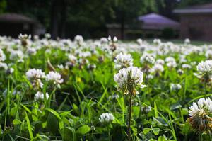 碌碌無為是因為焦慮——8月時間記錄總結(jié)
