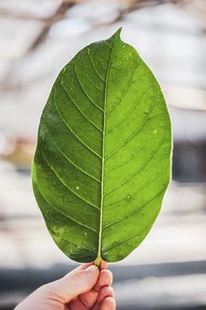 淺談多媒體技術(shù)在普通高校教學(xué)中的應(yīng)用