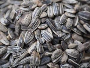 將于年春節(jié)前分批次遷入兩處安置區(qū)