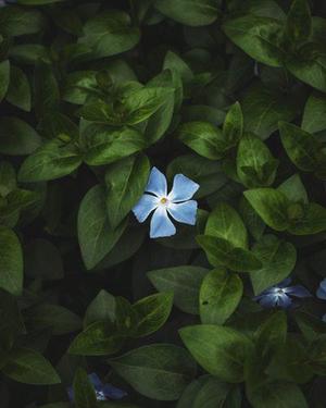 電噴柴油發(fā)電機(jī)組在海洋鉆井平臺(tái)上的應(yīng)用