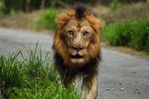 把肖戰(zhàn)放在首位，不跟風(fēng)意見領(lǐng)袖，尊重原創(chuàng)，肖戰(zhàn)粉絲這次能做到