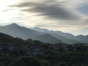 信息動態(tài)