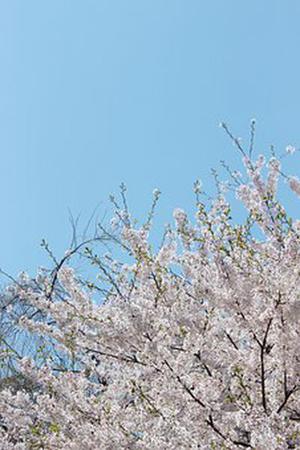 于成江個人介紹