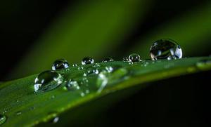 第二十二章教訓(xùn)白子茹