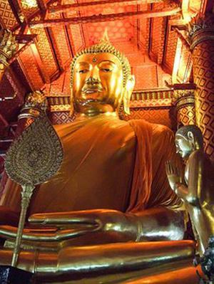 奉節(jié)縣草堂鎮(zhèn)柑橘產(chǎn)業(yè)發(fā)展前景與對策