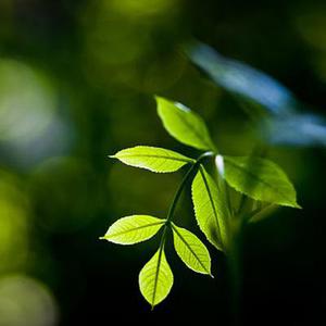 第二十二章教訓(xùn)白子茹