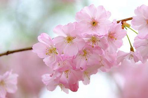 香港6合和彩介紹安全