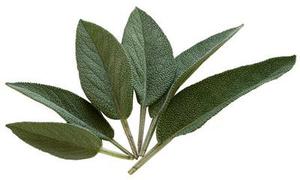 鳳岡縣茶葉出口達(dá)萬元