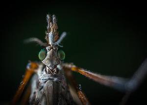 灌芯混凝土砌塊砌體的受剪強度研究