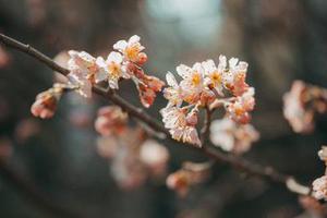 五個(gè)新手創(chuàng)業(yè)的項(xiàng)目，學(xué)習(xí)自用，舉一反三才是創(chuàng)業(yè)的開(kāi)始