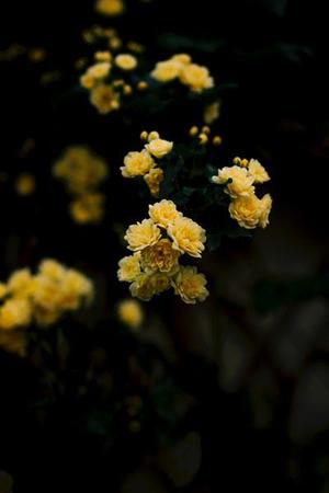 第1143章因?yàn)樗橇诛L(fēng)