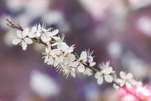 第二十二章教訓(xùn)白子茹