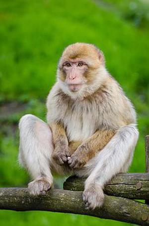 廳黨組成員、總工程師張生福以及廳屬有關(guān)單位負(fù)責(zé)人