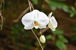 把肖戰(zhàn)放在首位，不跟風(fēng)意見領(lǐng)袖，尊重原創(chuàng)，肖戰(zhàn)粉絲這次能做到