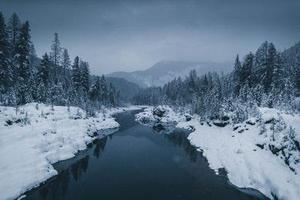 櫻之雪