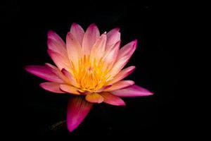 “數(shù)據(jù)結(jié)構(gòu)”多媒體教學(xué)改革研究