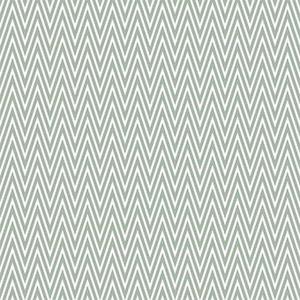 第1143章因?yàn)樗橇诛L(fēng)