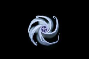排隊(duì)模型在評(píng)價(jià)圖書管理問題的應(yīng)用