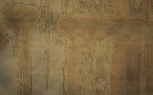 新書上架：《同時代人回憶契訶夫》| 文學紀念碑叢書016