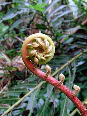 廳黨組成員、總工程師張生福以及廳屬有關(guān)單位負(fù)責(zé)人