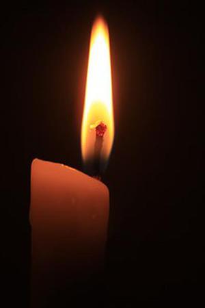 廳黨組成員、總工程師張生福以及廳屬有關(guān)單位負(fù)責(zé)人