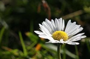 UIBarButtonItem點(diǎn)擊范圍過大