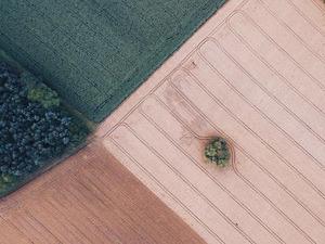 不同藥物治療頻發(fā)室早的臨床療效觀察