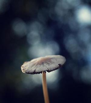 有沒有一個(gè)人， 令你看見自己如此不堪