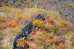 鐵路首改分配機(jī)制10月貨運(yùn)增幅驚人