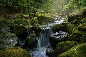 曝氣生物濾池在中藥廢水處理中的應(yīng)用