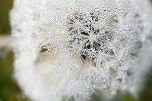 李寧：成熟的人該打理好自己的錢包有時候會花錢比掙錢更重要我的夢想合唱團