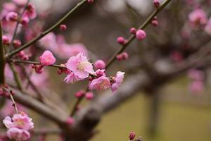 三觀不同，何必夫妻
