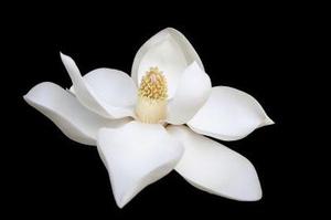 來(lái)不及多說(shuō)了！成為人生贏家原來(lái)只需這兩招